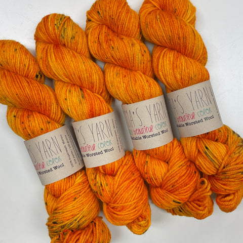 Floridian Zest - Washable Worsted Wool